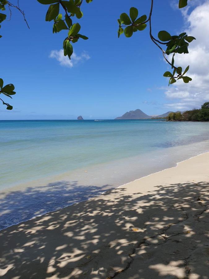 Ste Luce, N° 11 Appart -300M Plage De Mabouyas Corps de Garde Exterior photo