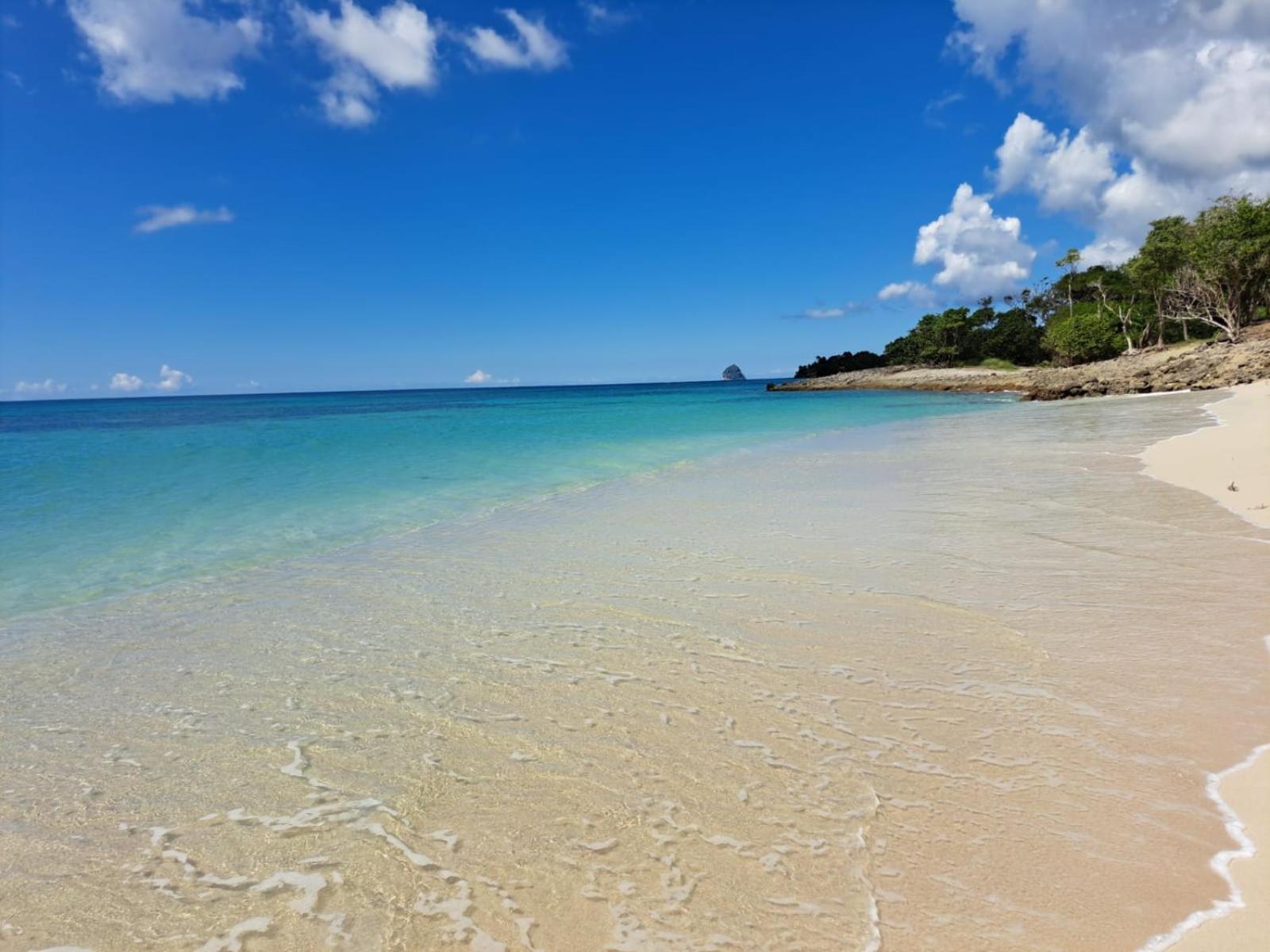 Ste Luce, N° 11 Appart -300M Plage De Mabouyas Corps de Garde Exterior photo