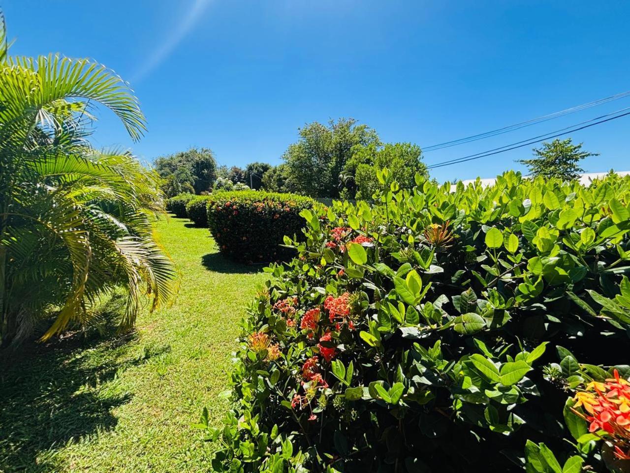 Ste Luce, N° 11 Appart -300M Plage De Mabouyas Corps de Garde Exterior photo